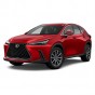 Lexus NX SUV 2022