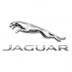 Jaguar Jaguar